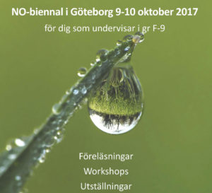 Affisch_NObiennal_Goteborg_200